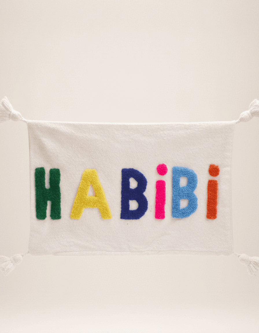 وسادة HABIBI مطرزة ملونة